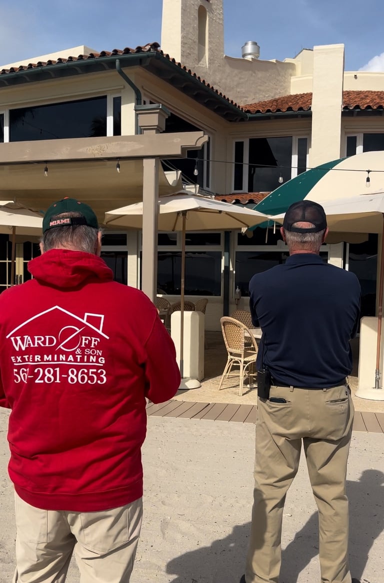 termite inspection