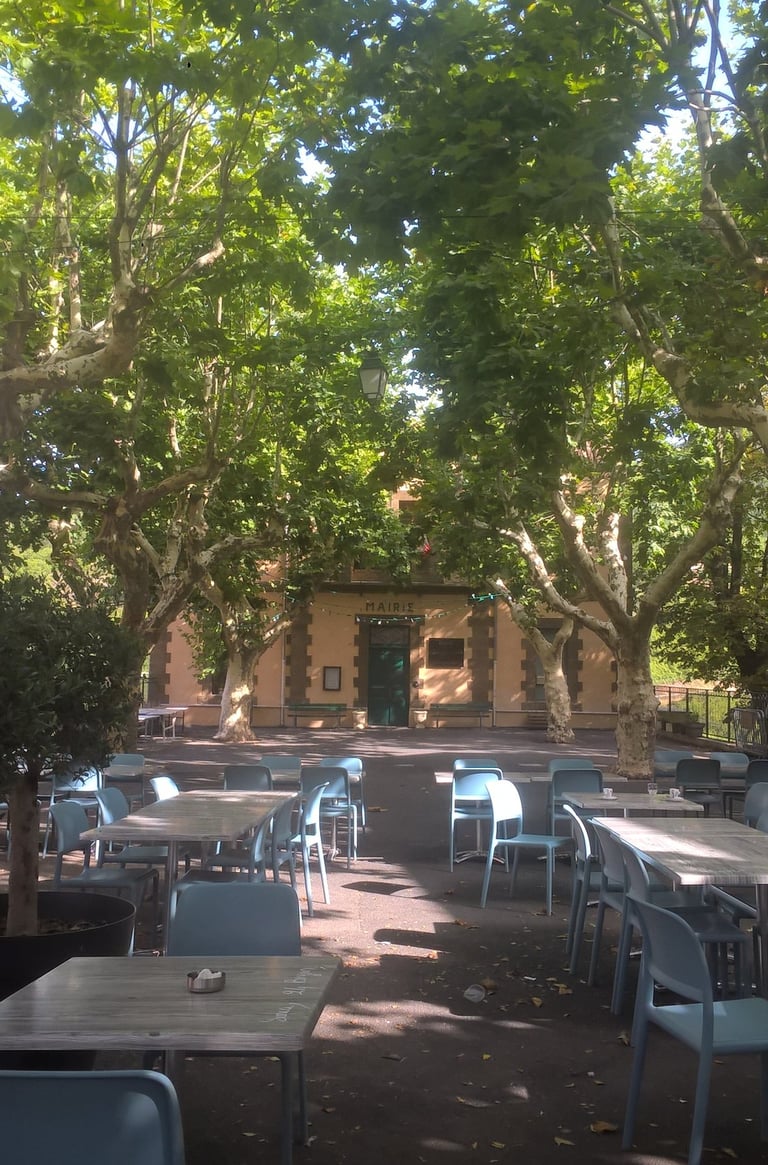 In the shade of the plane trees outside Soubès 'caf.'