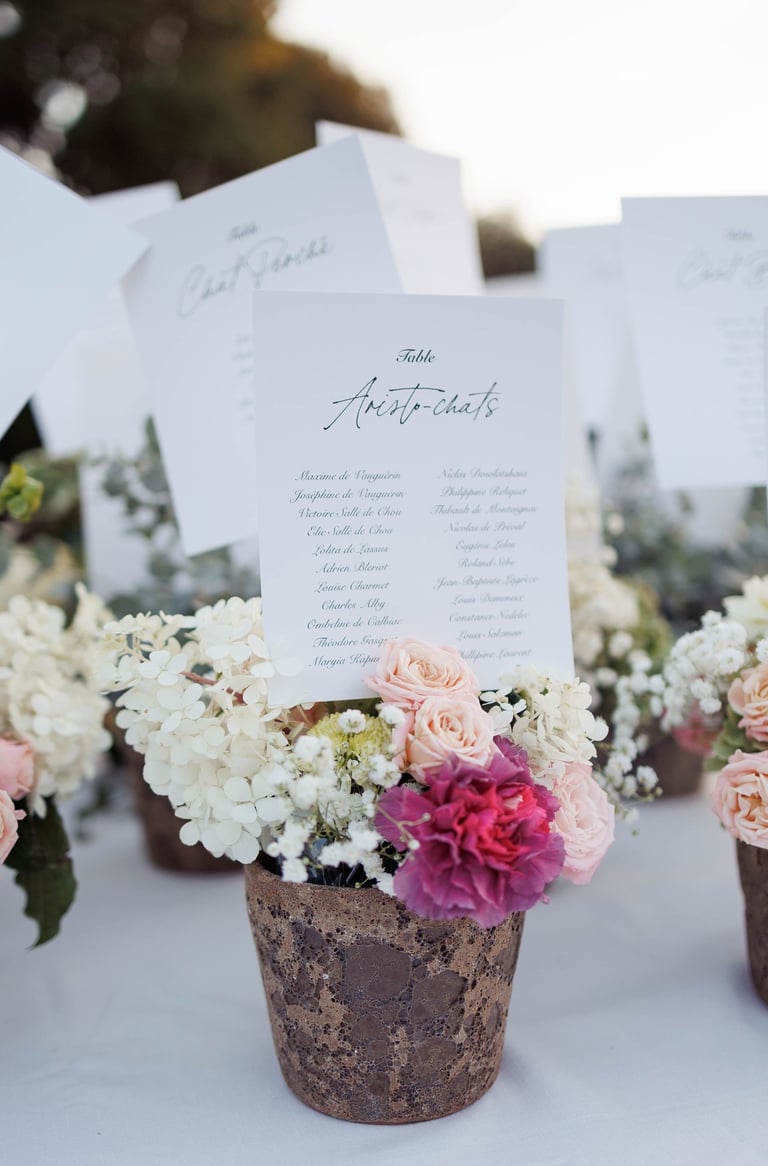 photographe mariage centre