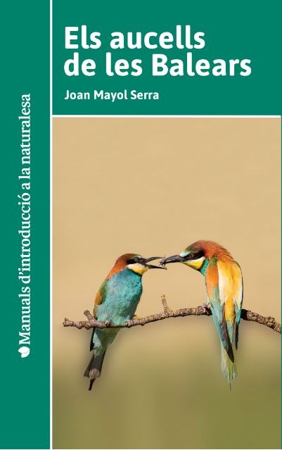 two birds sitting on top of a tree branch
