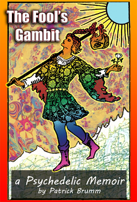 Book cover for The Fool's Gambit
