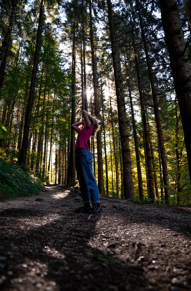 randonné en Roumanie foret