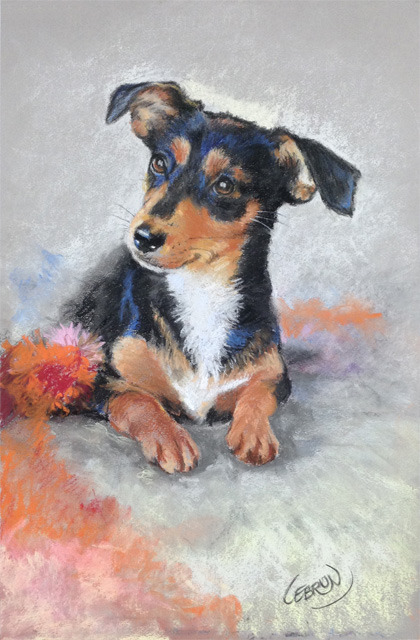 Portrait au pastels d’un chiot terrier noir et feu aux oreilles tombantes.