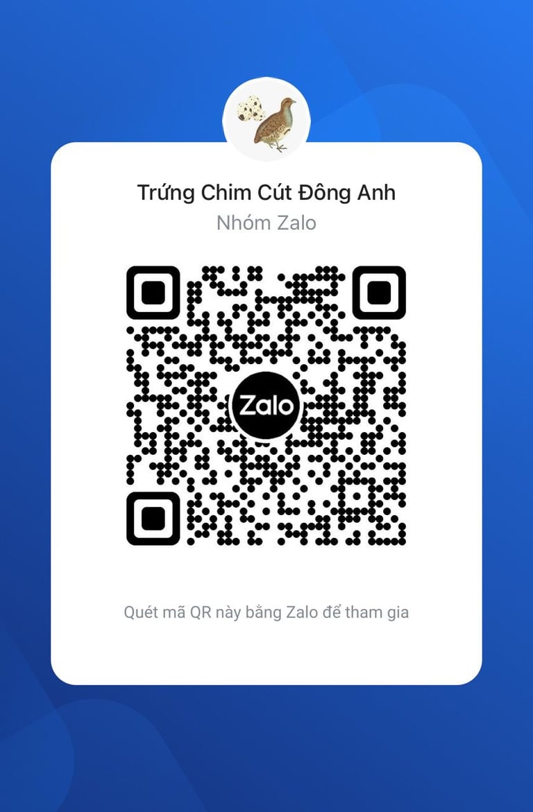 thông tin liên hệ đặt hàng trứng chim cút đông anh