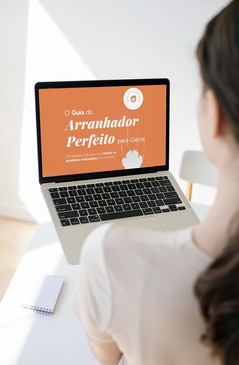 Uma mulher sentada na mesa com um laptop na mão aberto em um ebook guia do arranhador