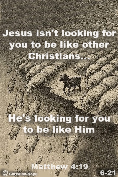 From The Horse's Mouth