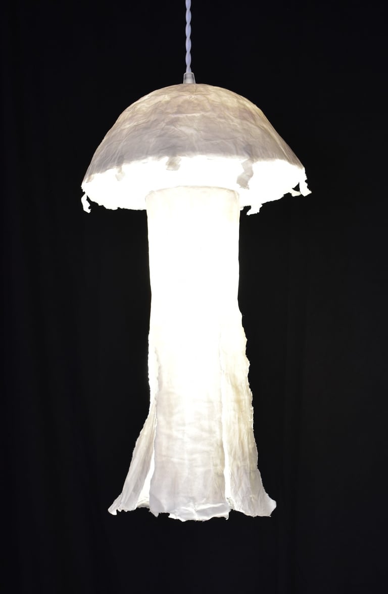 méduse suspension lumineuse papier sète