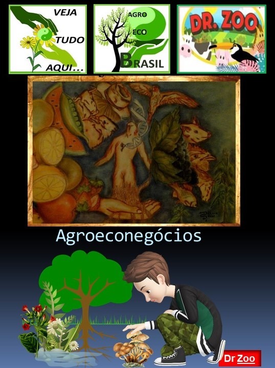 Agro Eco Negócios