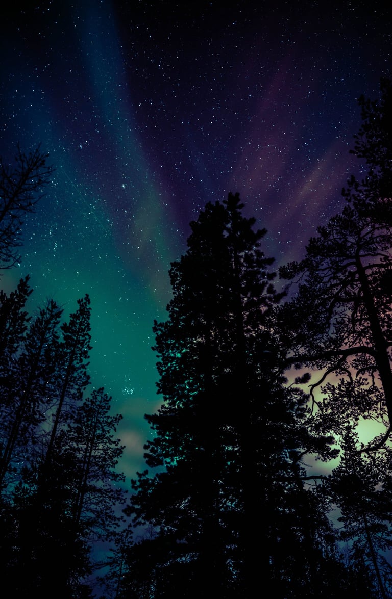 Silhouetted pine trees under a vibrant night sky with aurora borealis and twinkling stars.