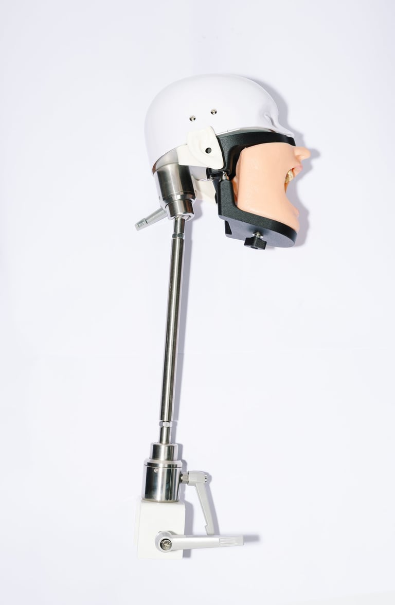 Fantoma de mesa para simulación odontológica