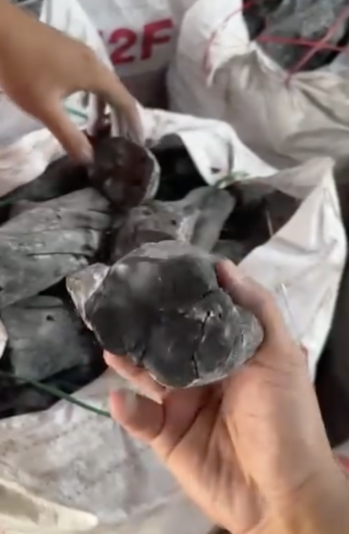 Coffee Charcoal White Charcoal Binchotan