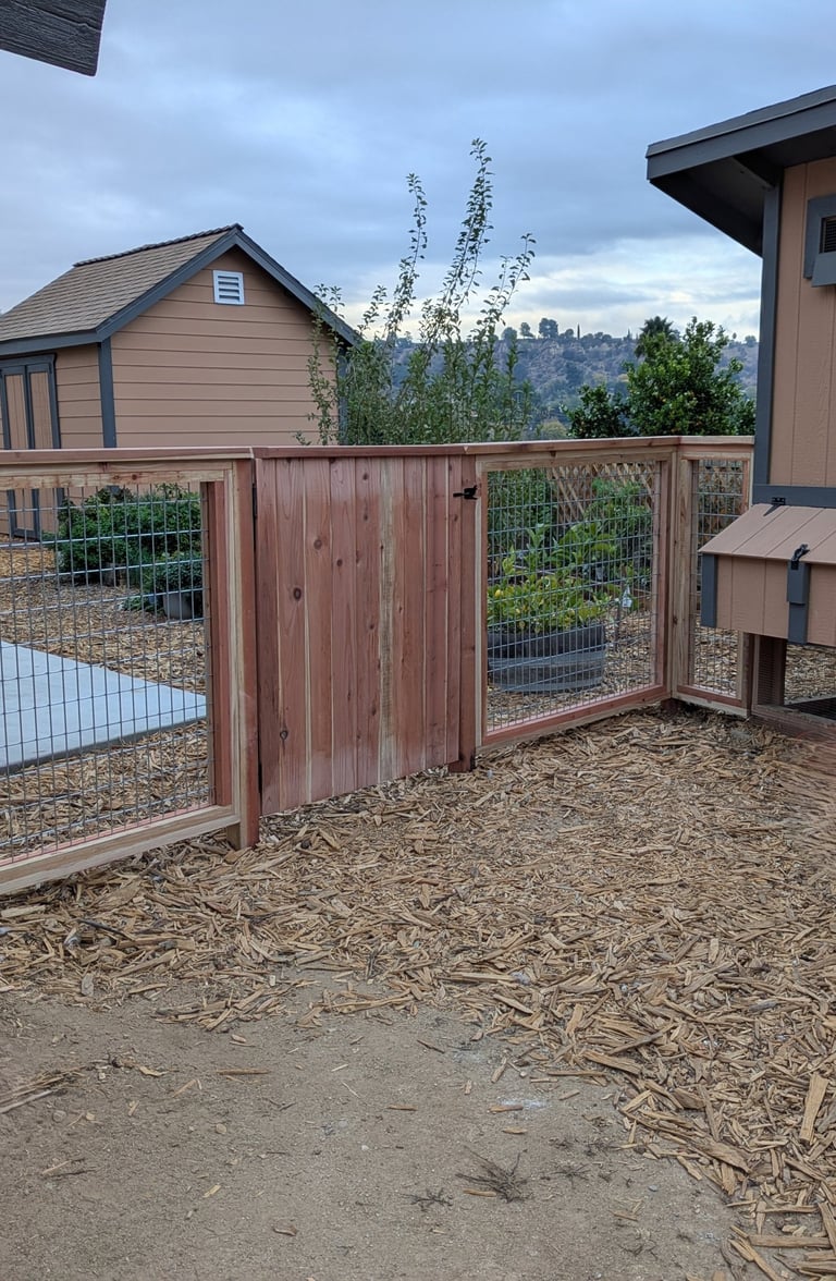 Custom Fence and Gate