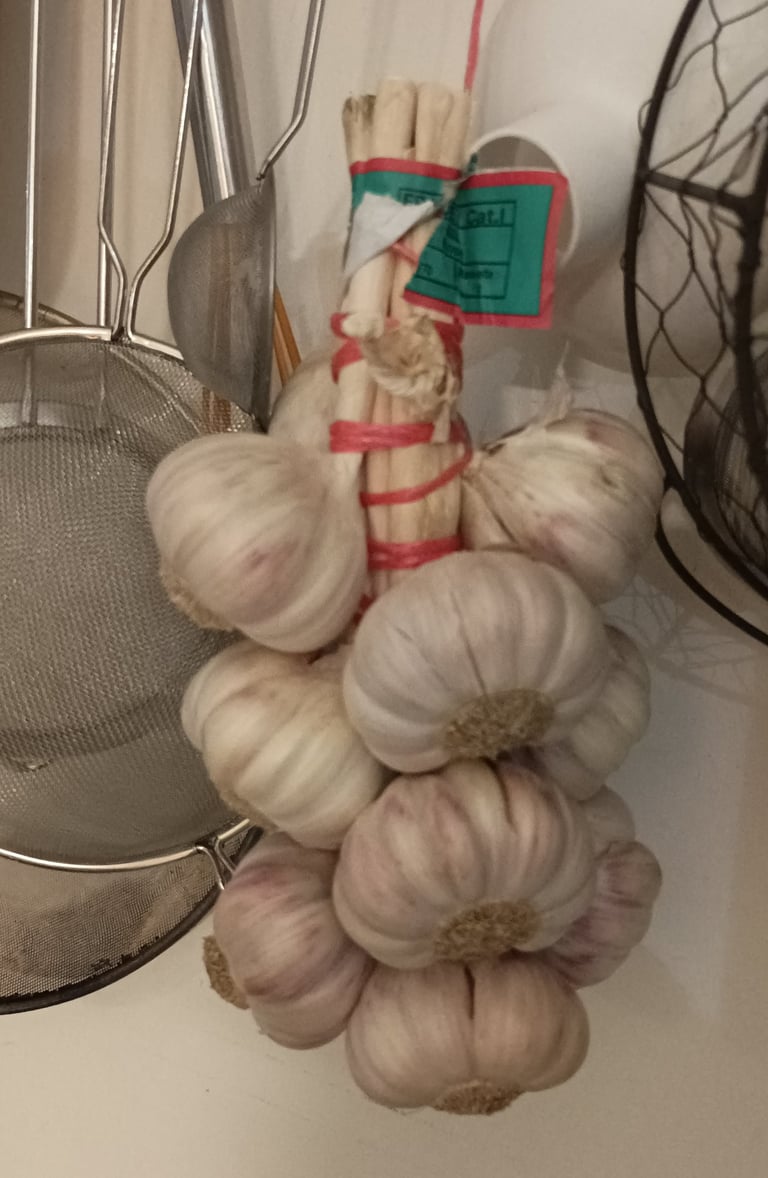 Rose du Tarn Garlic