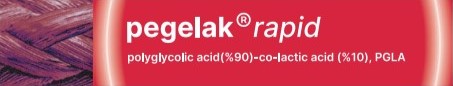 pegelak rapid