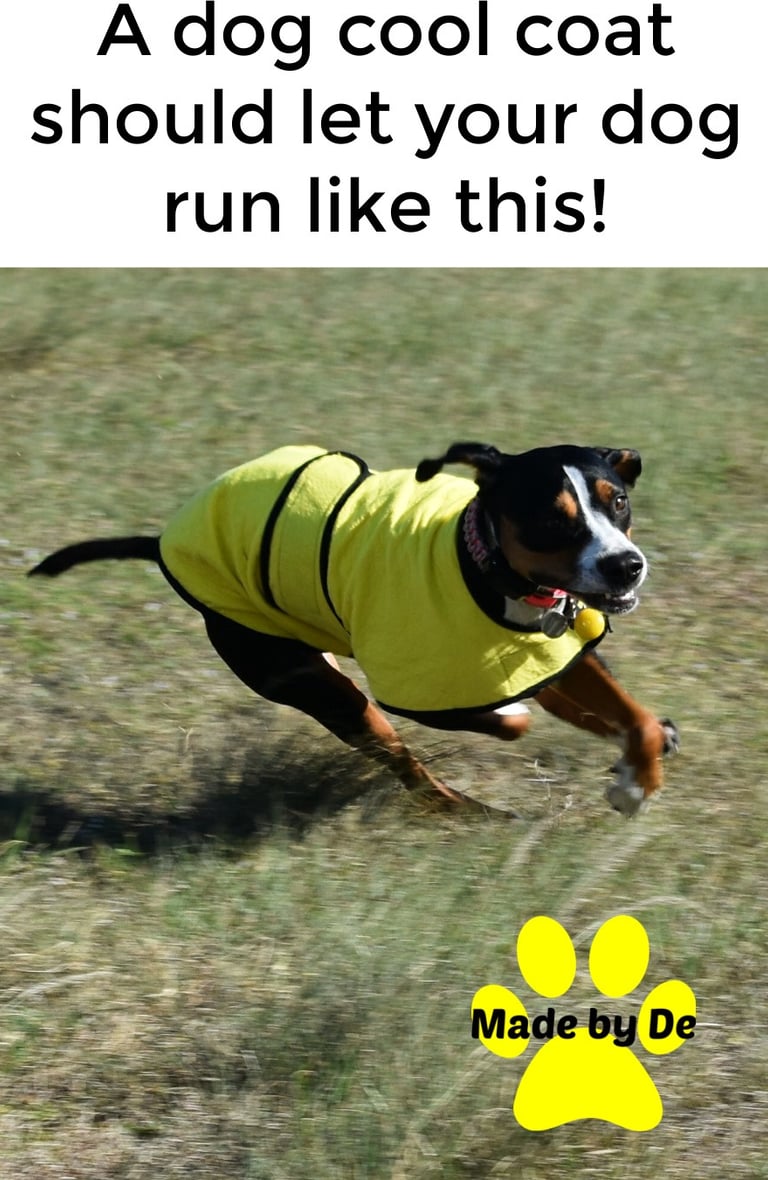 Black and tan dog wearing yellow cool coat running in field