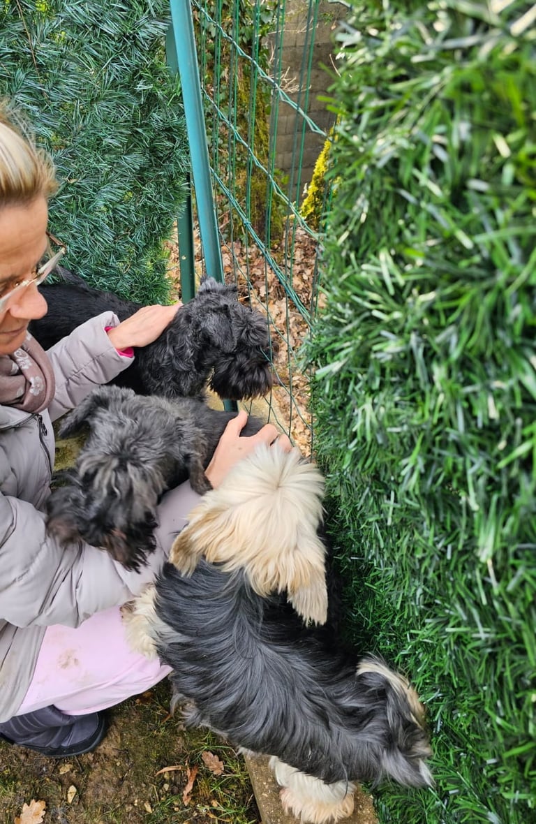 Les Diamants Noirs jardinent