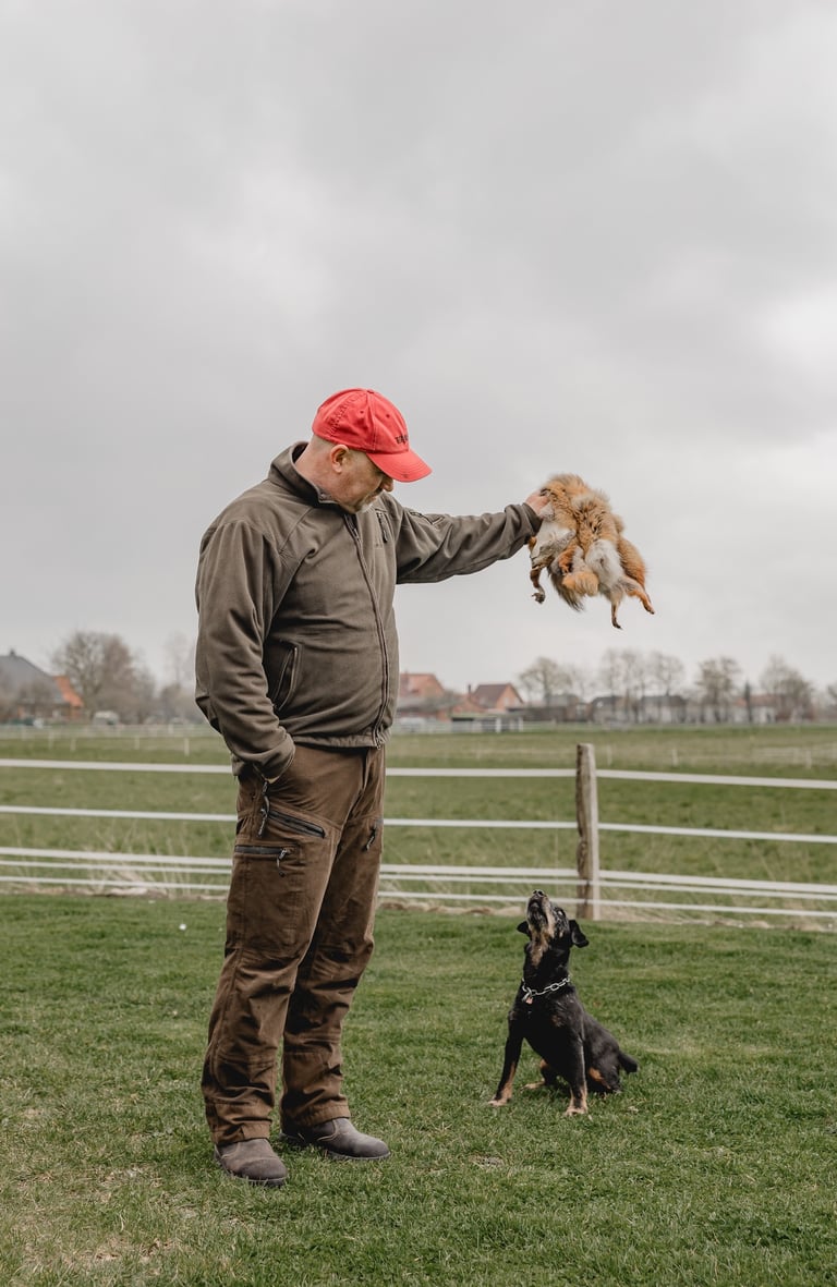Jagdhund Ausbildung Bauarbeit