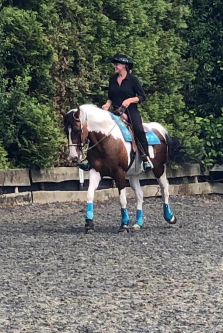 cowgirl op bruin wit paard