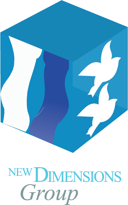 Logotipo New Dimensions Group
