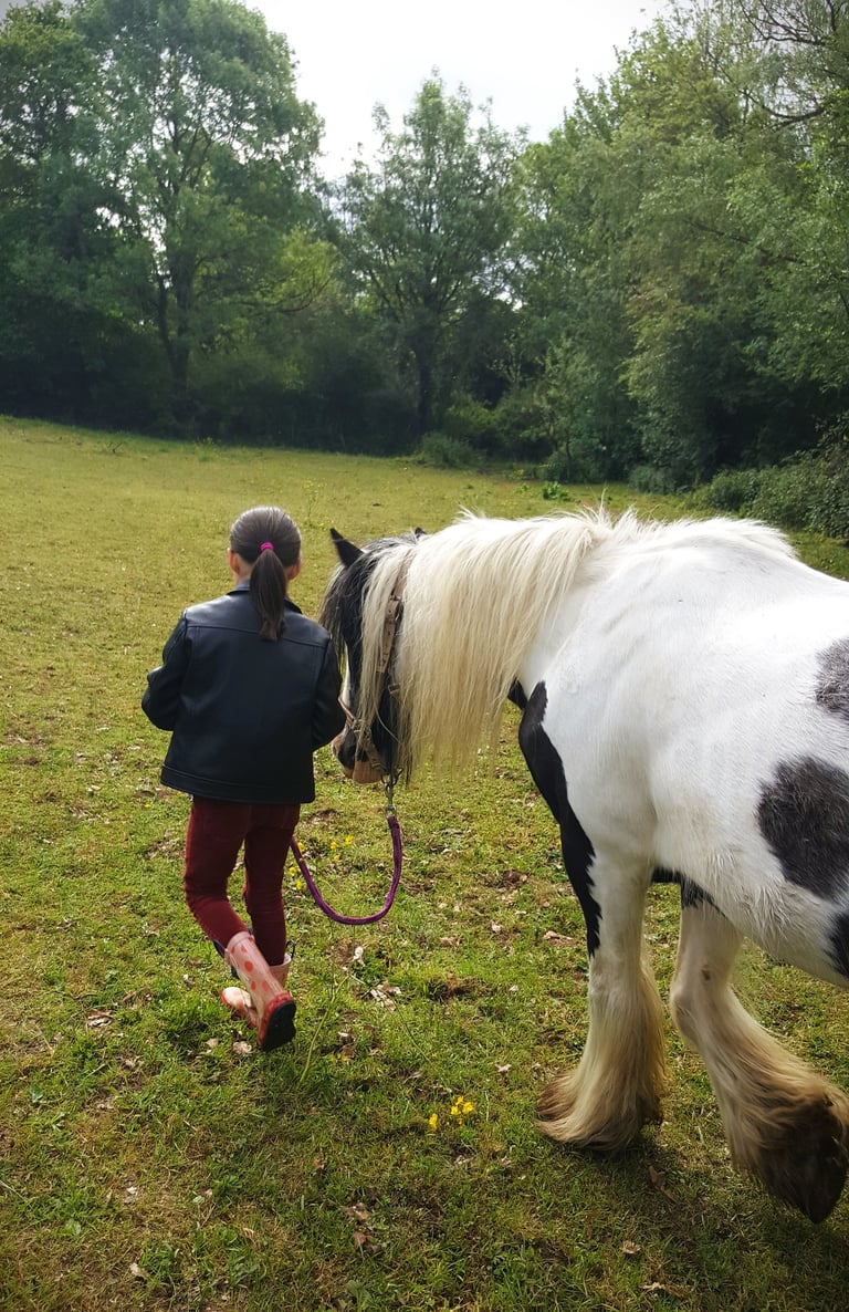 Enfant marche à côté de son poney lors d'une séance d'équithérapie
