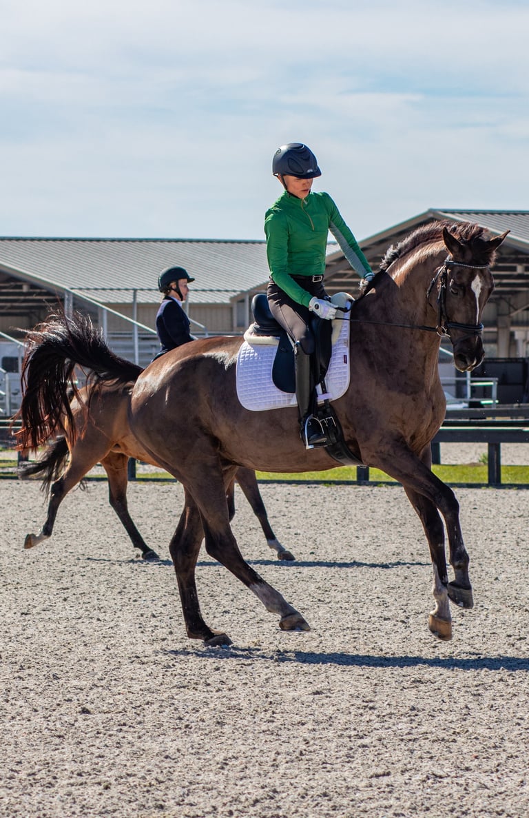 Rider in a green shirt performing dressage on a brown horse in an outdoor arena, with another rider 