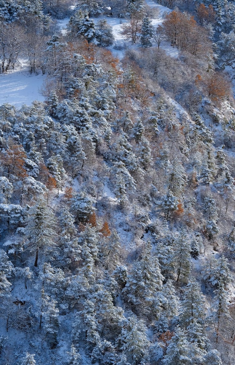 Quand la neige se mêle aux couleurs de l'automne
