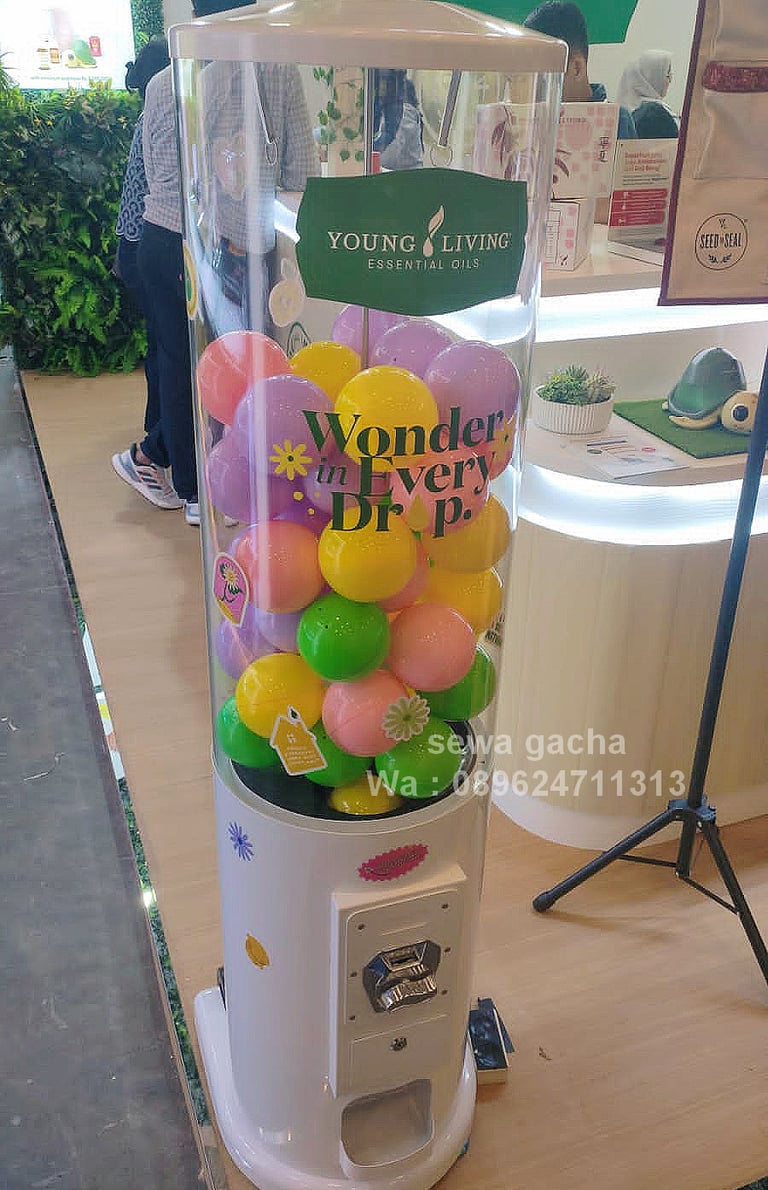 sewa mesin gacha gachapon surabaya