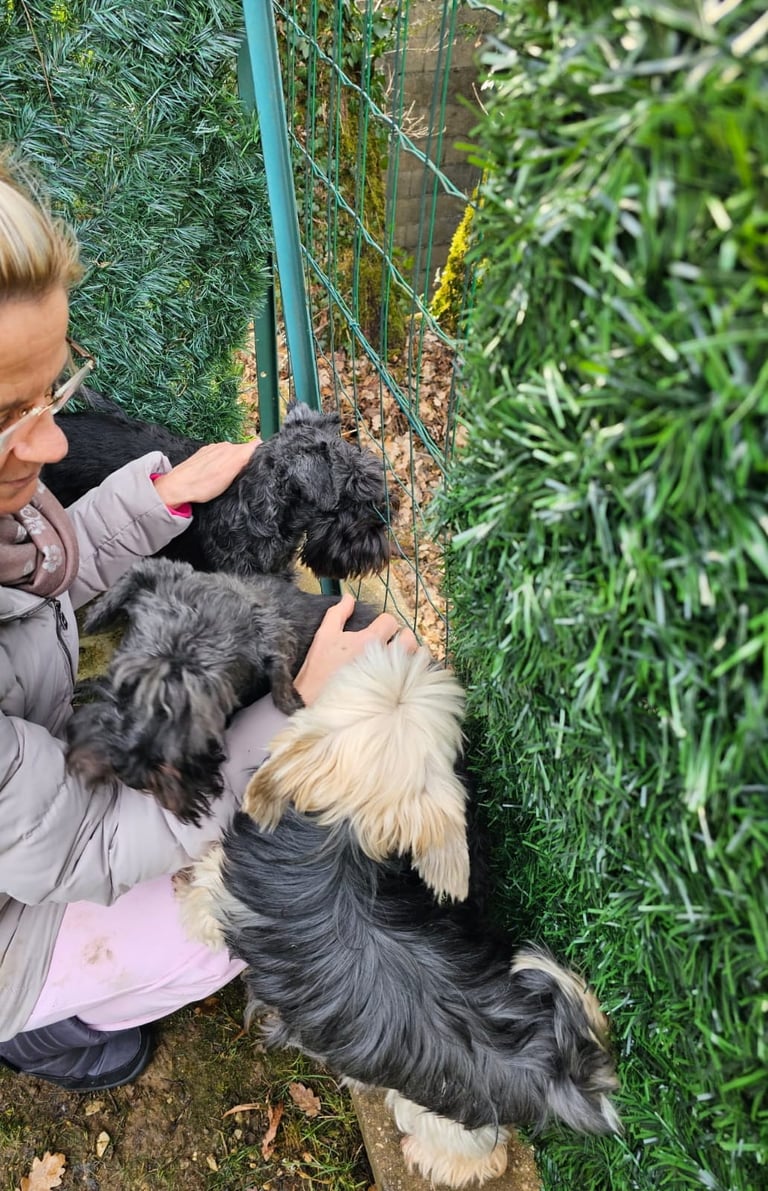 Les Diamants Noirs jardinent