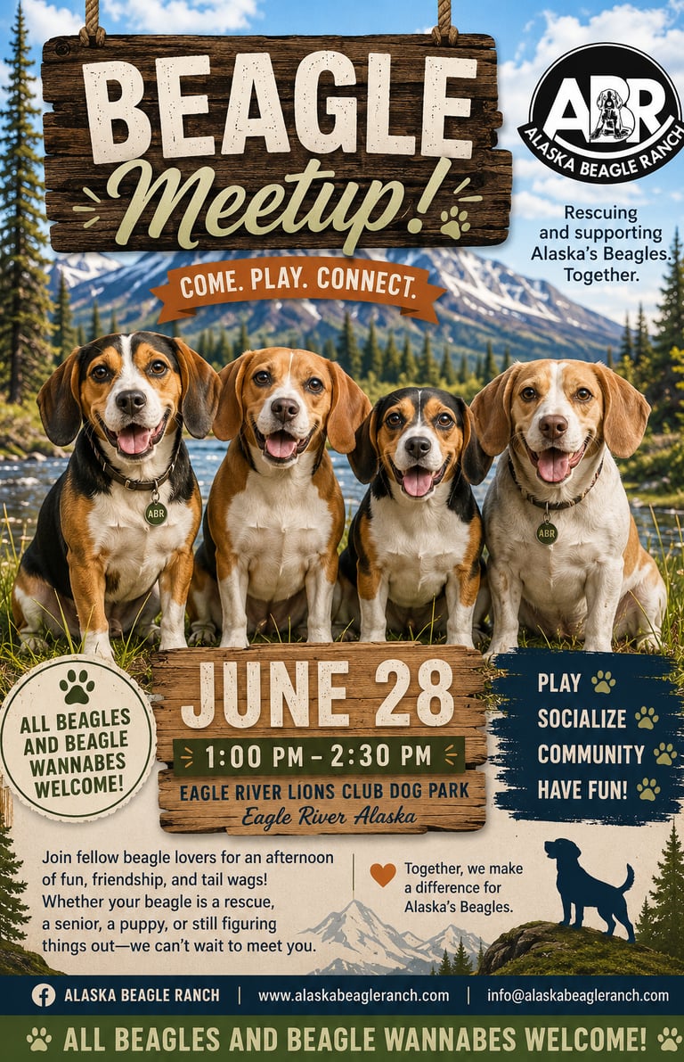 6.28 Beagle Meetup