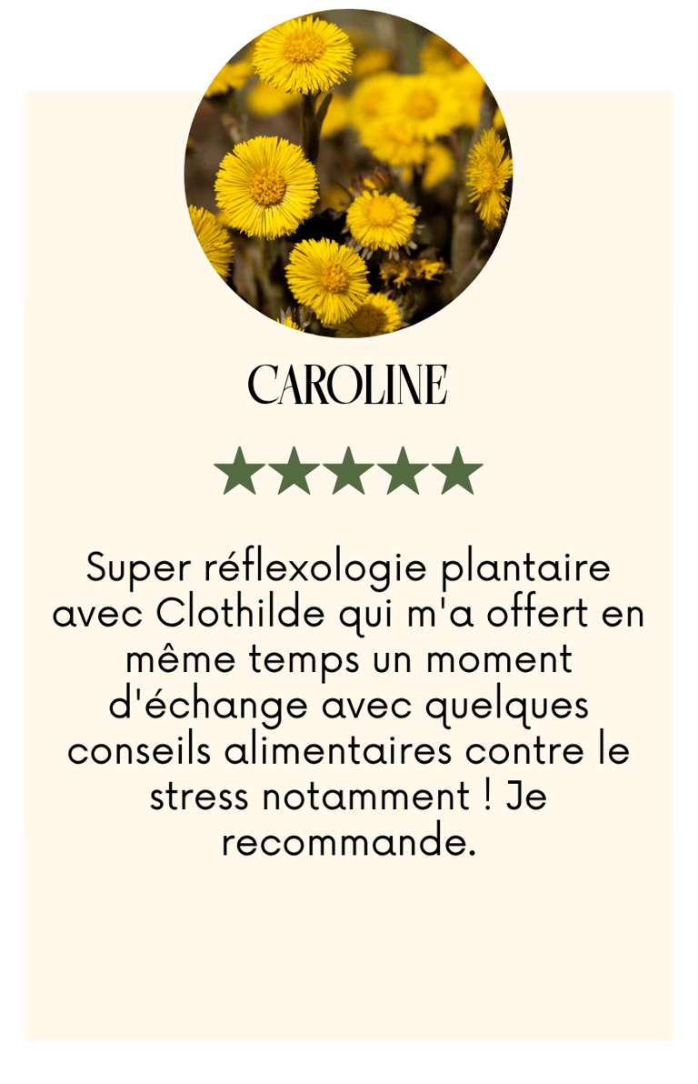 conseils phytothérapie herboristerie charleroi bien être ateliers créatifs