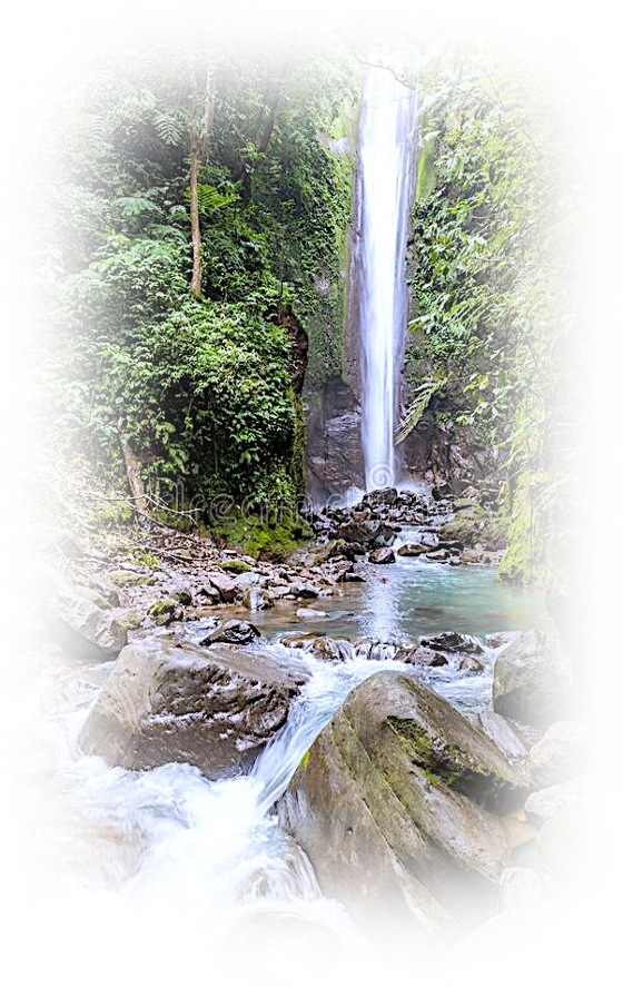 a waterfall in the middle of a forest