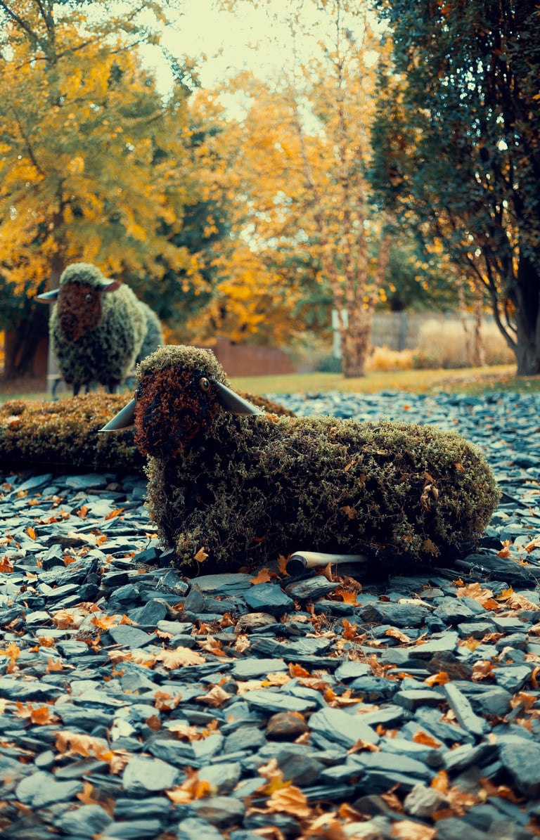 Halloween Montréal Photographie Autumn Fall