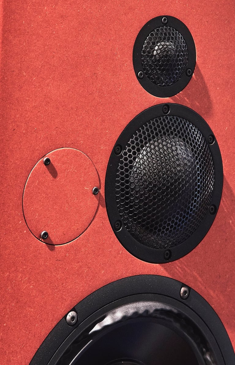 Present Day Production Studio monitor Bliesma silk mid and tweeter dome