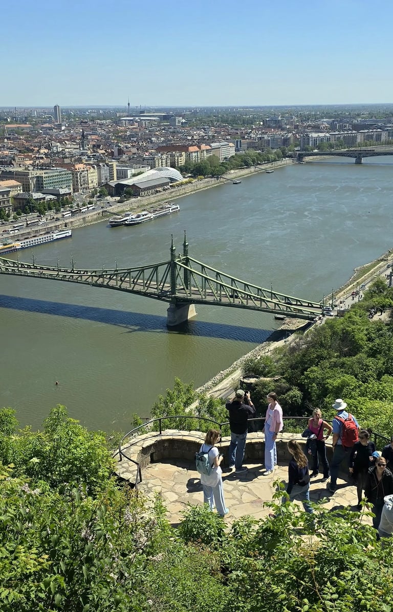 Widok na Most Wolności z Góry Gellerta