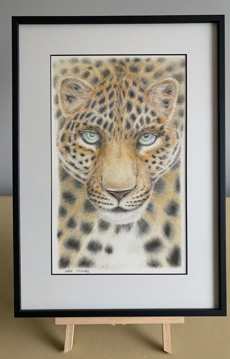 Leopard