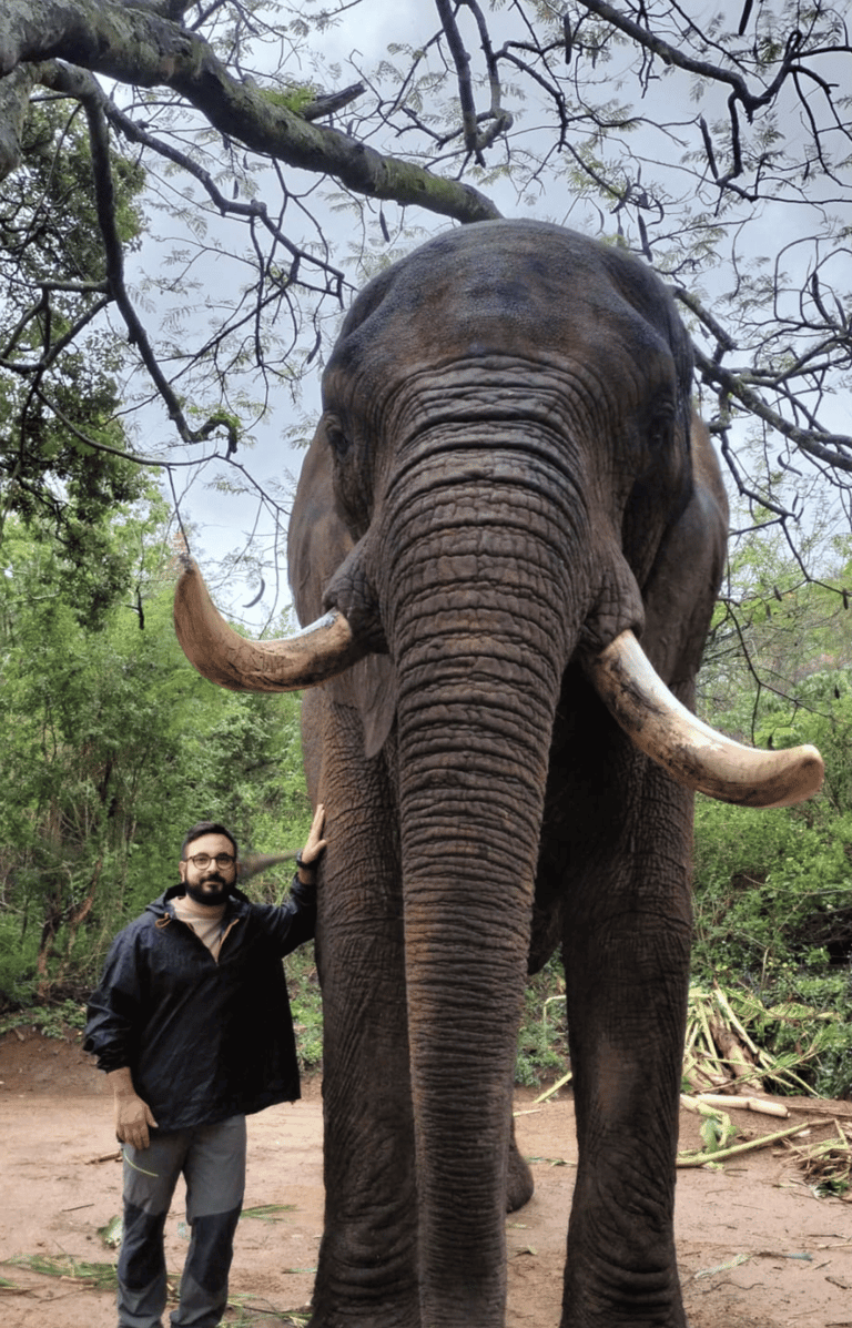 Dr Campolo Giovanbattista veterinario che posa a fianco ad un elefante africano