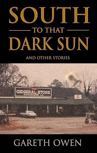 a book cover of south african american history