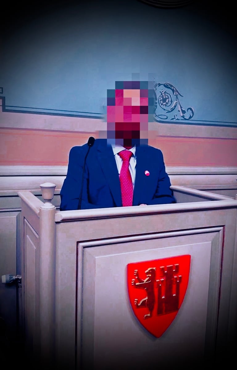 Salah Hassan Al-Saadi، Fredrikstad SV, Fredrikstad Kommune bystyret, Styrer, Styrer, råd og utvalg, Politikk - administrasjon