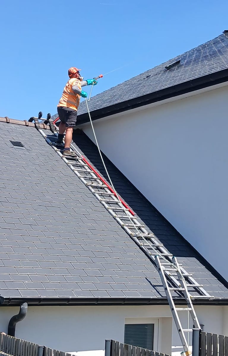 traitement antimousse toiture