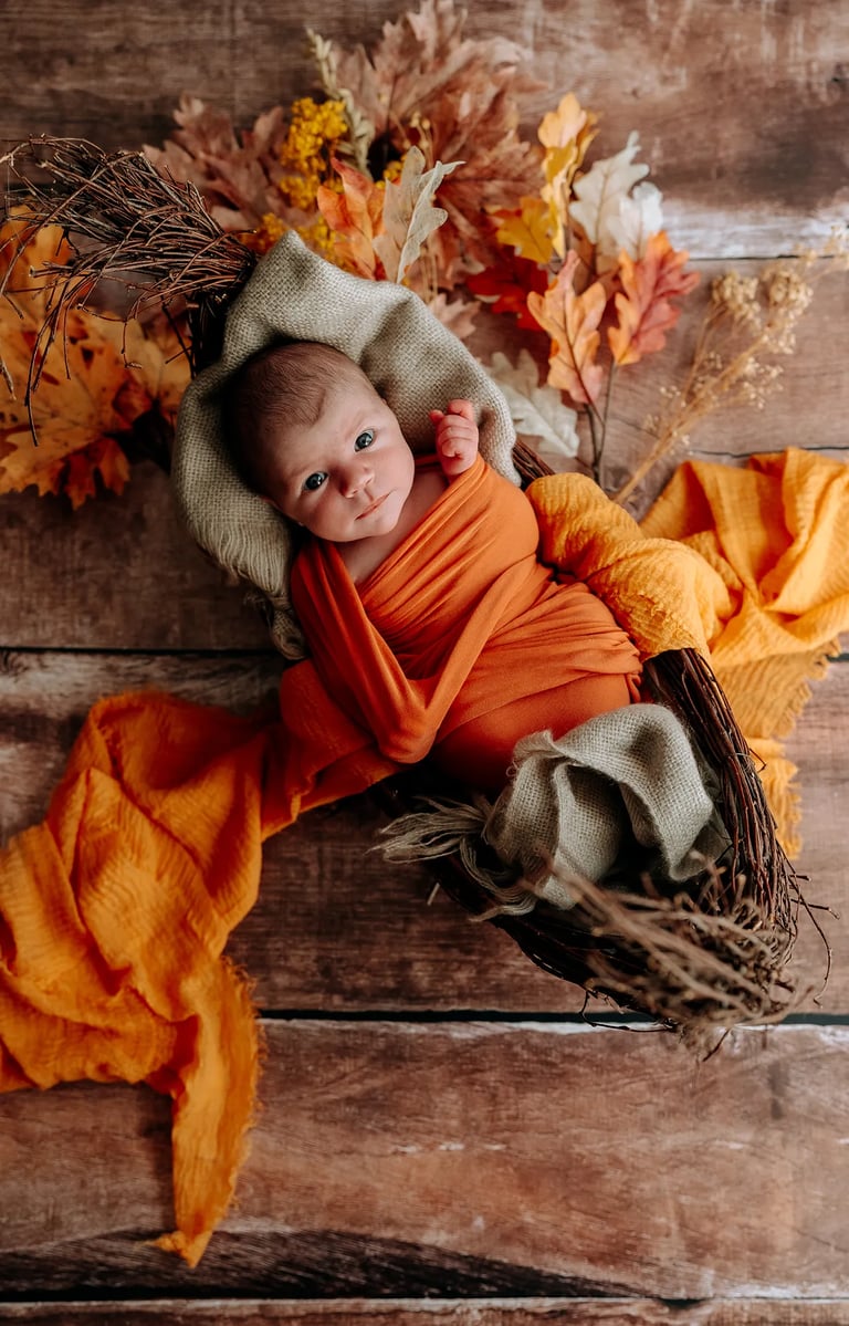 un bébé dans un panier en automne