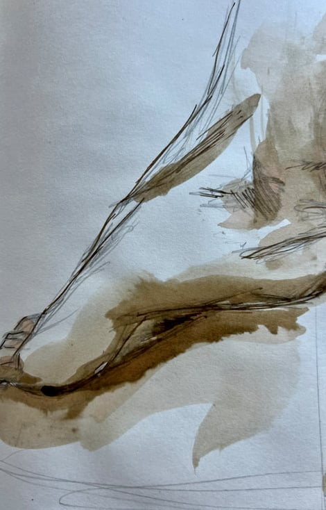 Ton pied I, 1993 Encre ©Mireille Derbré