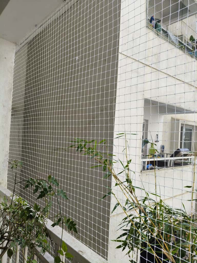 pigeon netting in richmond town