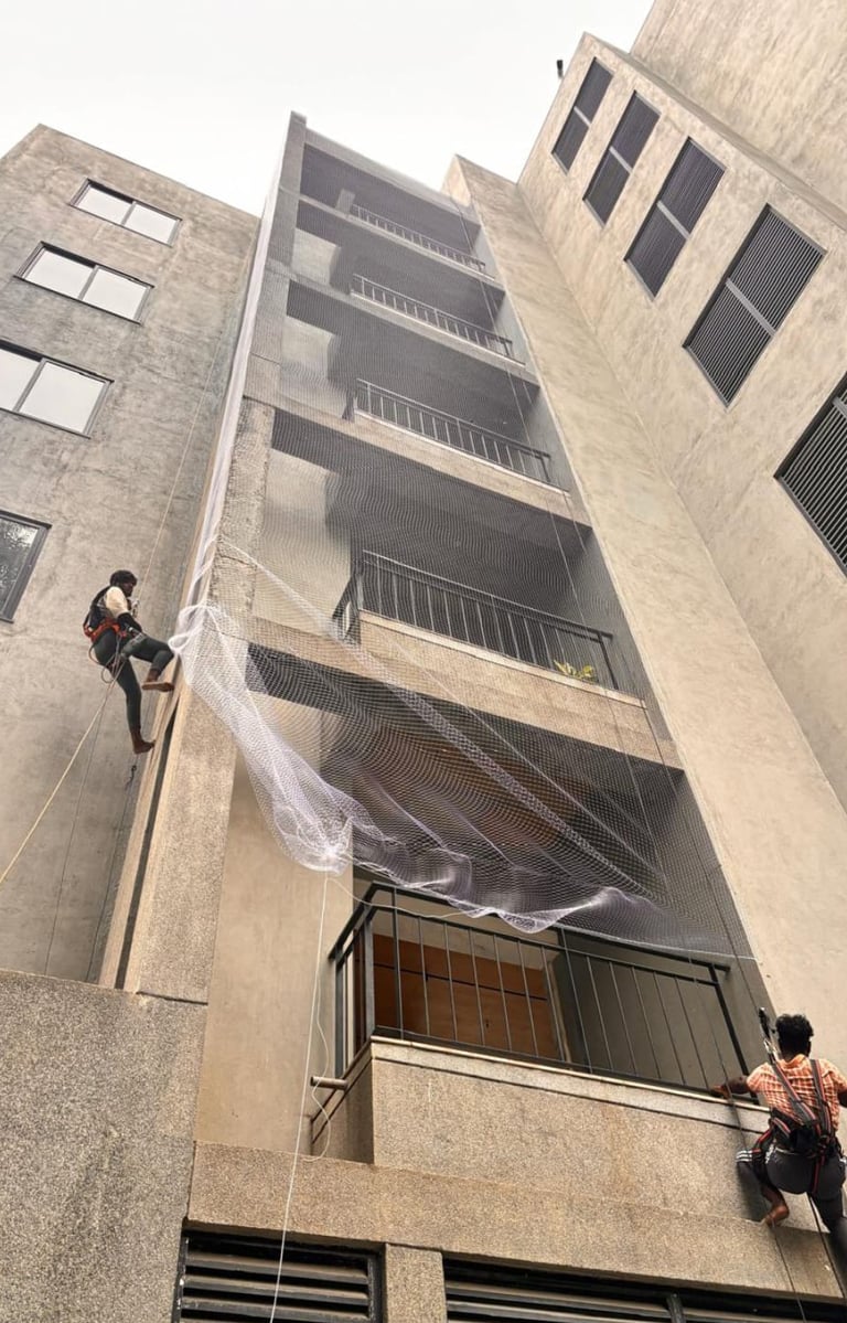 pigeon netting in richmond town