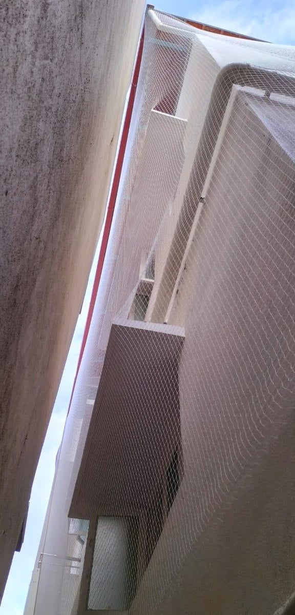 best anti pigeon nets in bangalore