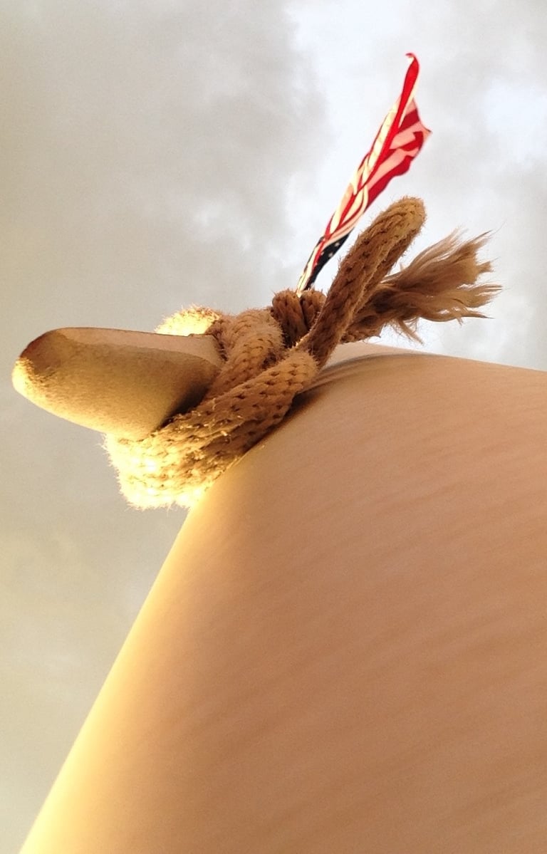 An inverted flagpole with a thick rope and an American flag on a cloudy sky.