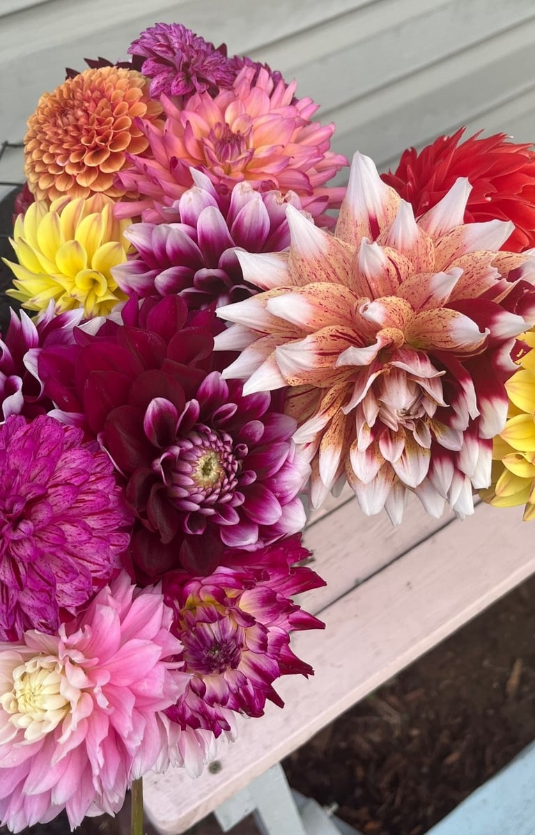 a bunch of flowers are sitting on a bench