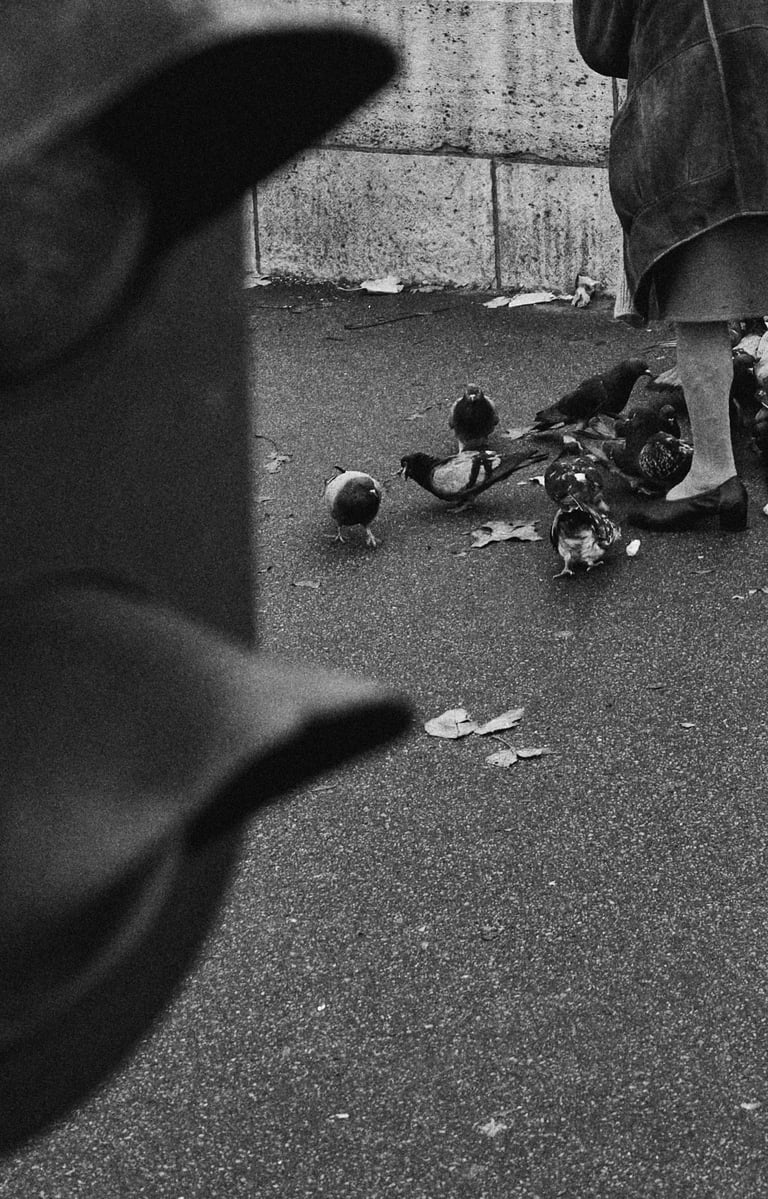 a woman on a bridge with pigeons, a red light in foreground