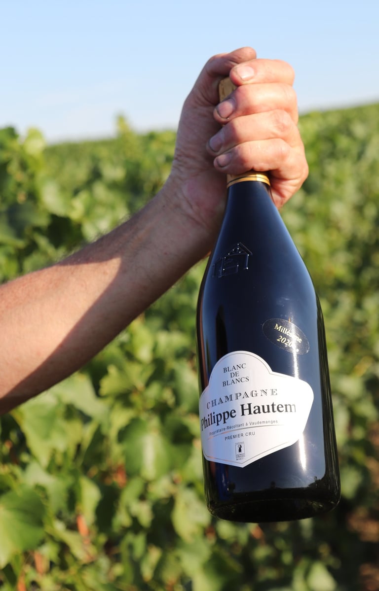Présentation Bouteille de Champagne Blanc de Blancs du Champagne Philippe Hautem Millésime