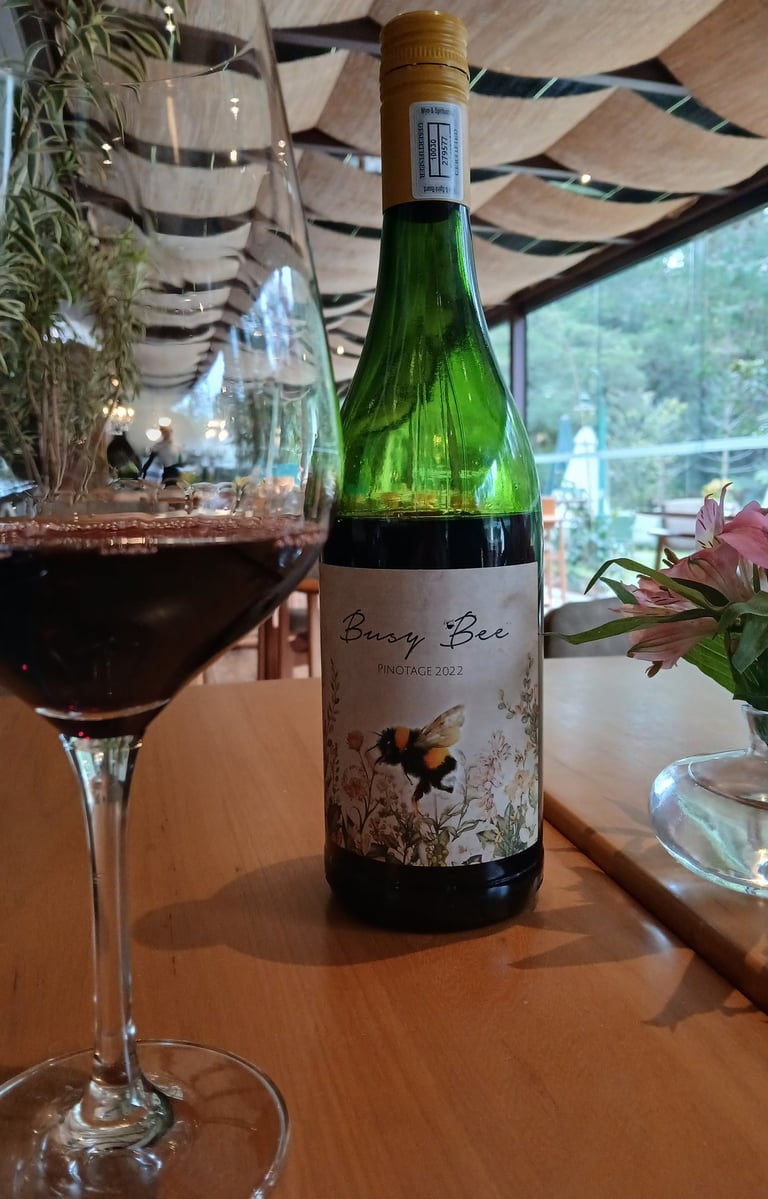Vinho sul-africano Busy Bee Pinotage. Foto: Rafael Carvalho Lima/ Revista Com Limão e Sal