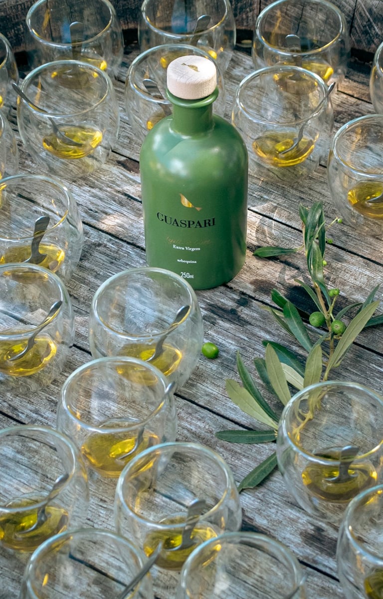 Guaspari também produz azeite de qualidade. Foto: Divulgação